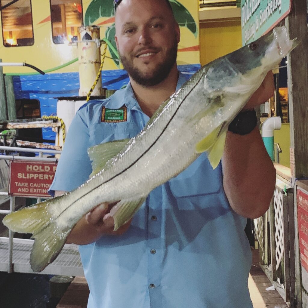 Snook Fish