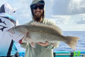 Large Gag Grouper Fish